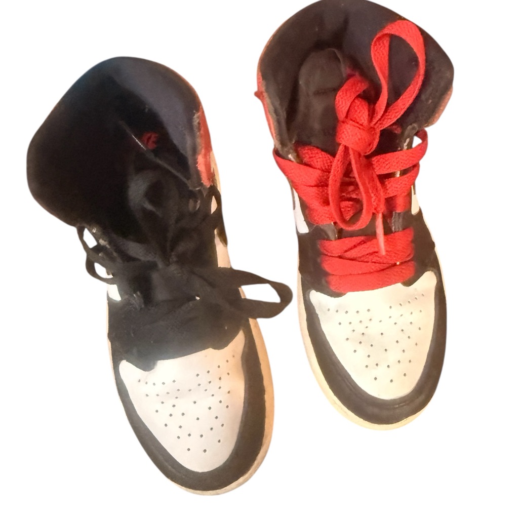 Air Jordan 1